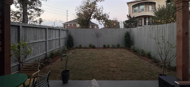 Backyard with corrugated metal fence, sparse grass, young trees, and residential buildings in background